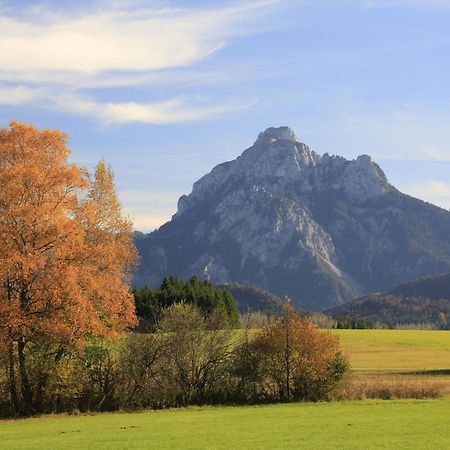 Apartment Buck By Interhome Füssen Dış mekan fotoğraf
