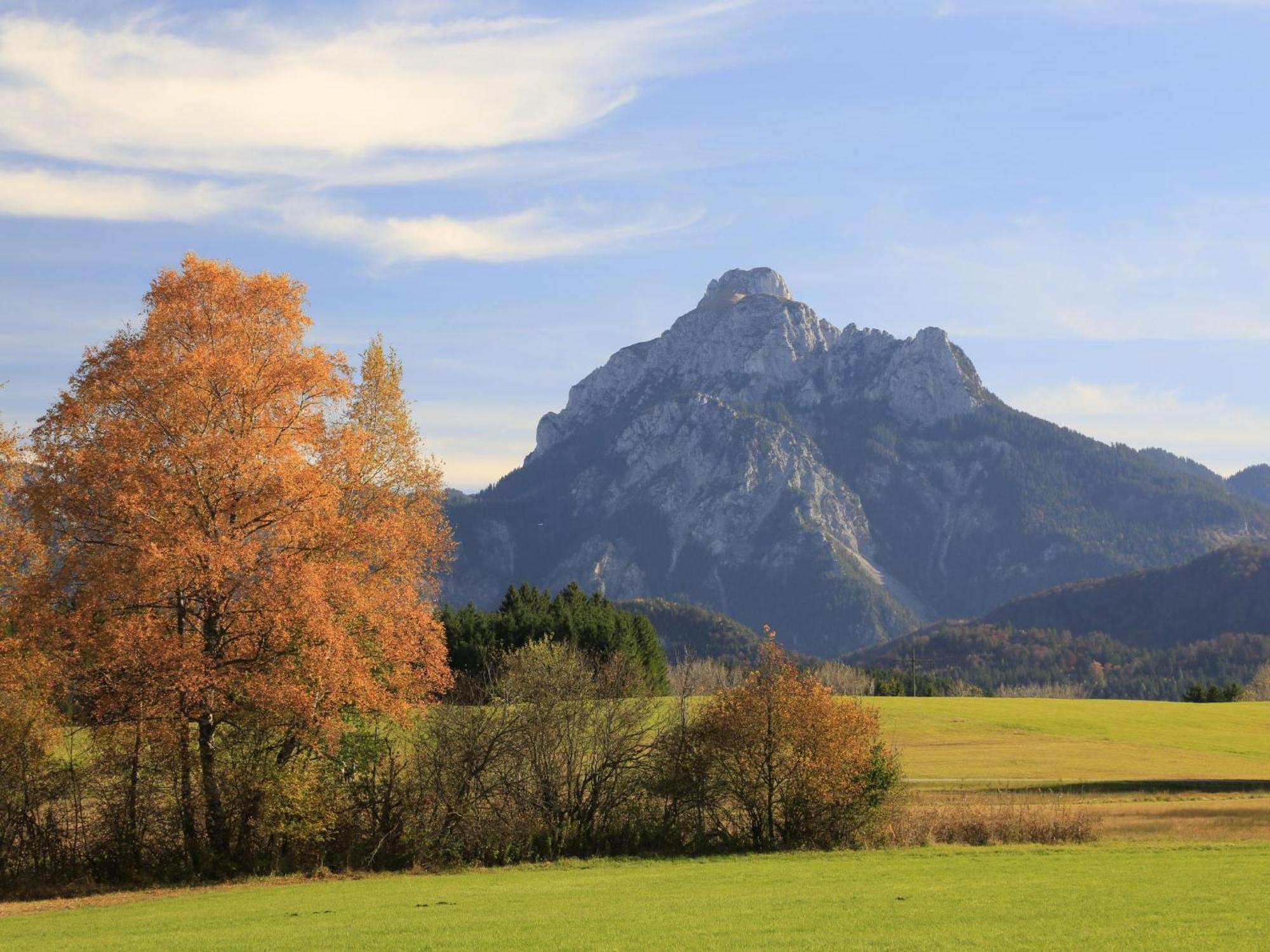 Apartment Buck By Interhome Füssen Dış mekan fotoğraf